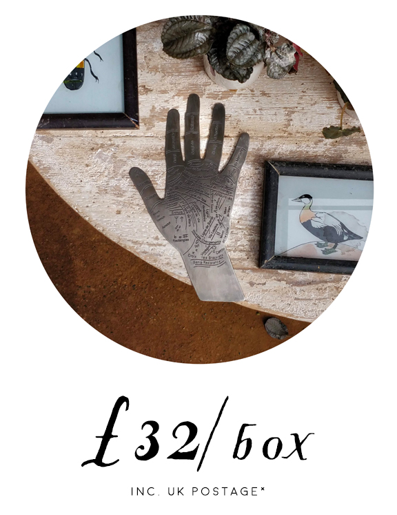 Deluxe Sabbat Box. Picture of a brass palmistry hand on a wooden table with two handpainted slide showing a bird and an insect.